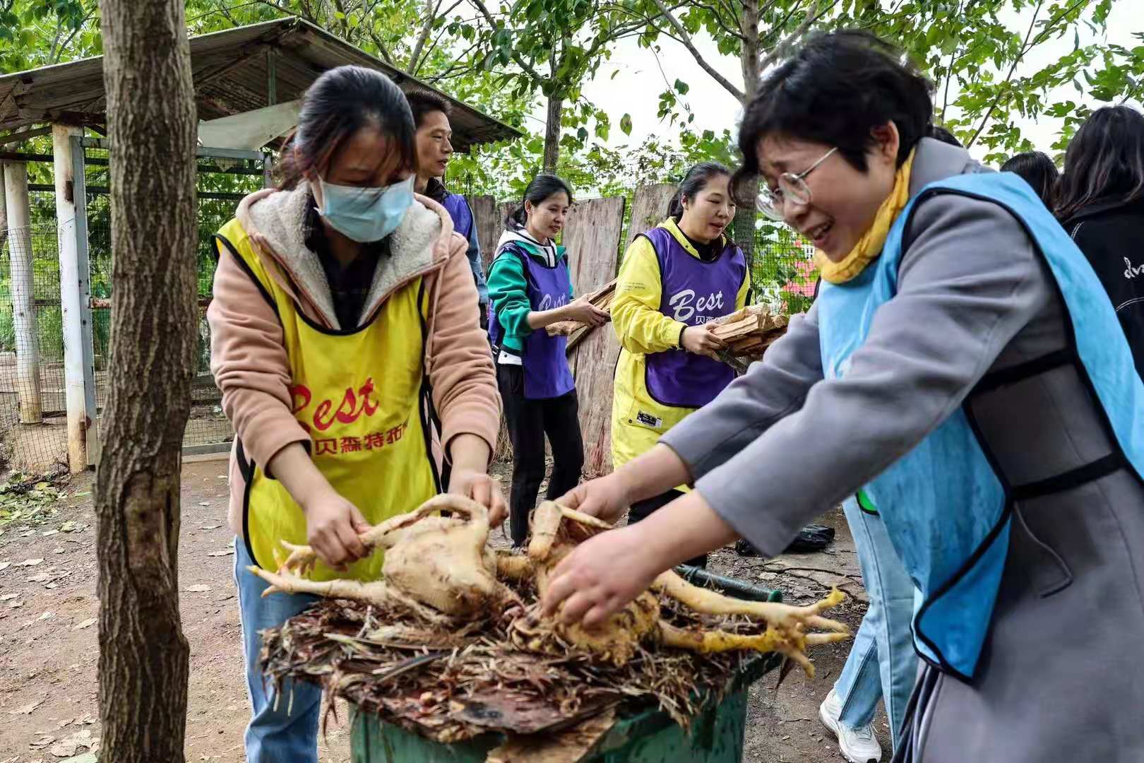 武漢樂農(nóng)湖畔生態(tài)園